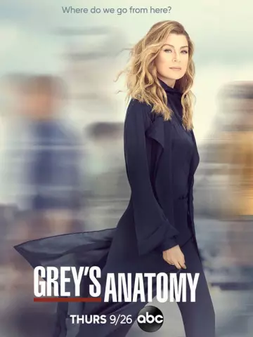 Grey's Anatomy - Saison 16 - vostfr