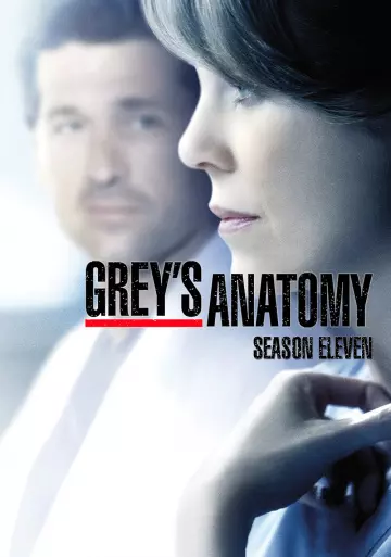 Grey's Anatomy - Saison 11 - VF HD