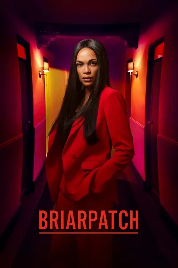 Briarpatch - Saison 1 - VOSTFR HD