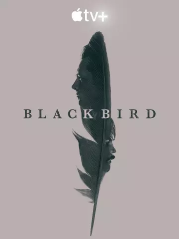 Black Bird - Saison 1 - VF