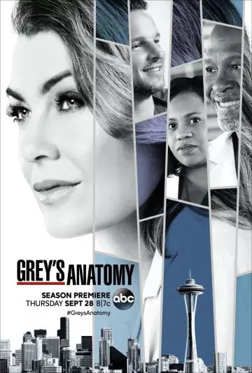 Grey's Anatomy - Saison 14 - vf-hq