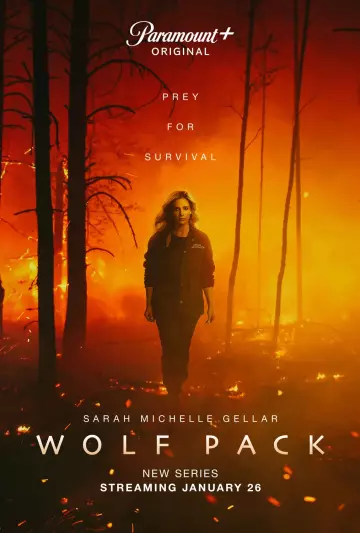 Wolf Pack - Saison 1 - vostfr