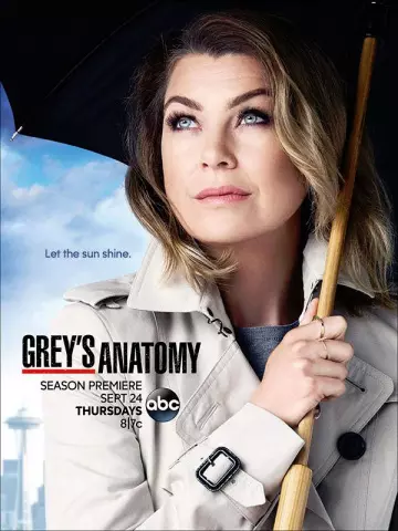 Grey's Anatomy - Saison 12 - VF HD
