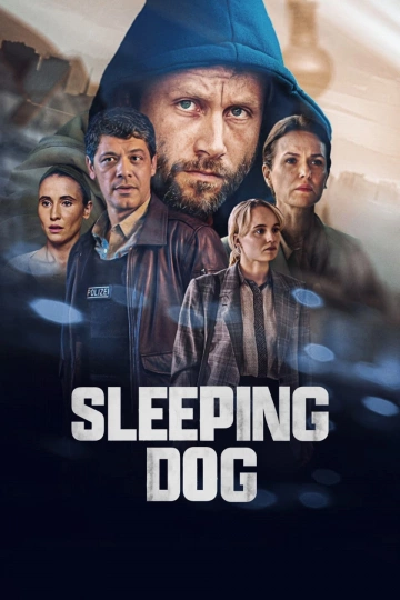 Sleeping Dogs - Saison 1 - VOSTFR HD