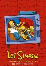 Les Simpson - Saison 5 - vf