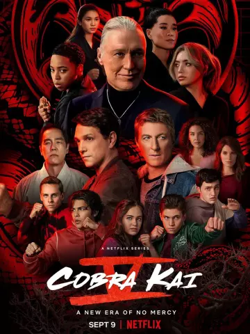 Cobra Kai - Saison 5 - vf-hq