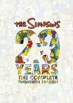 Les Simpson - Saison 20 - vf