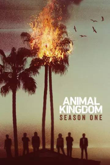 Animal Kingdom - Saison 1 - vostfr